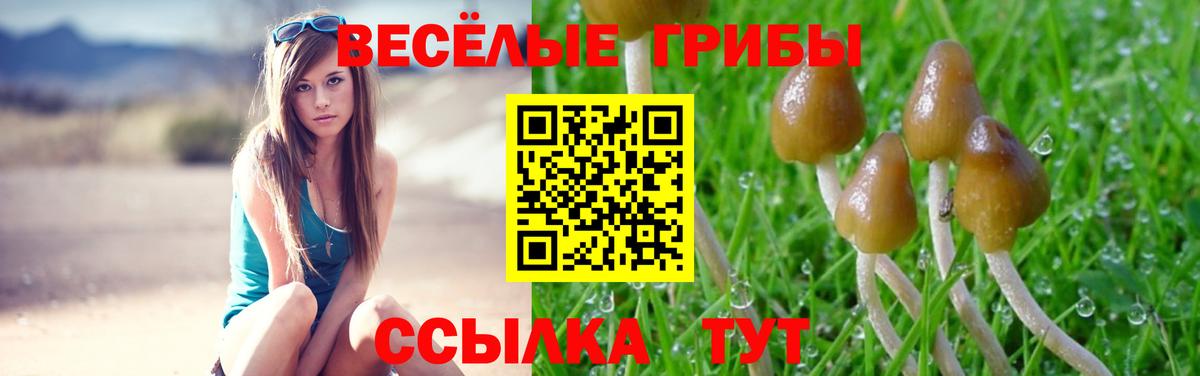 даркнет сайт  Псилоцибиновые грибы мицелий  Псилоцибиновые грибы Magic Shrooms  Вход с VPN  Богородицк 
